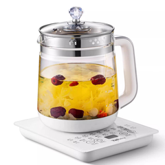 110V multifunctional health kettle