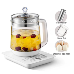 110V multifunctional health kettle