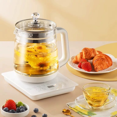 110V multifunctional health kettle