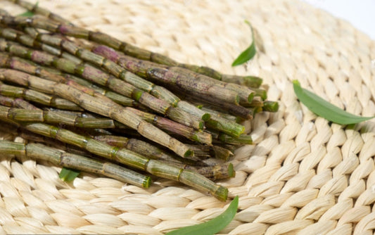 What Is "Yin" in Traditional Chinese Medicine?